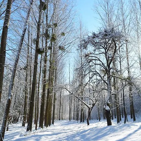 Гостевой дом Jako Haz